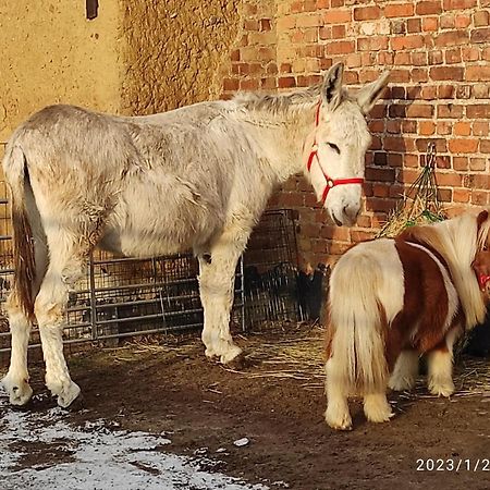 Pferdepension Jaeger Markranstadt Bagian luar foto