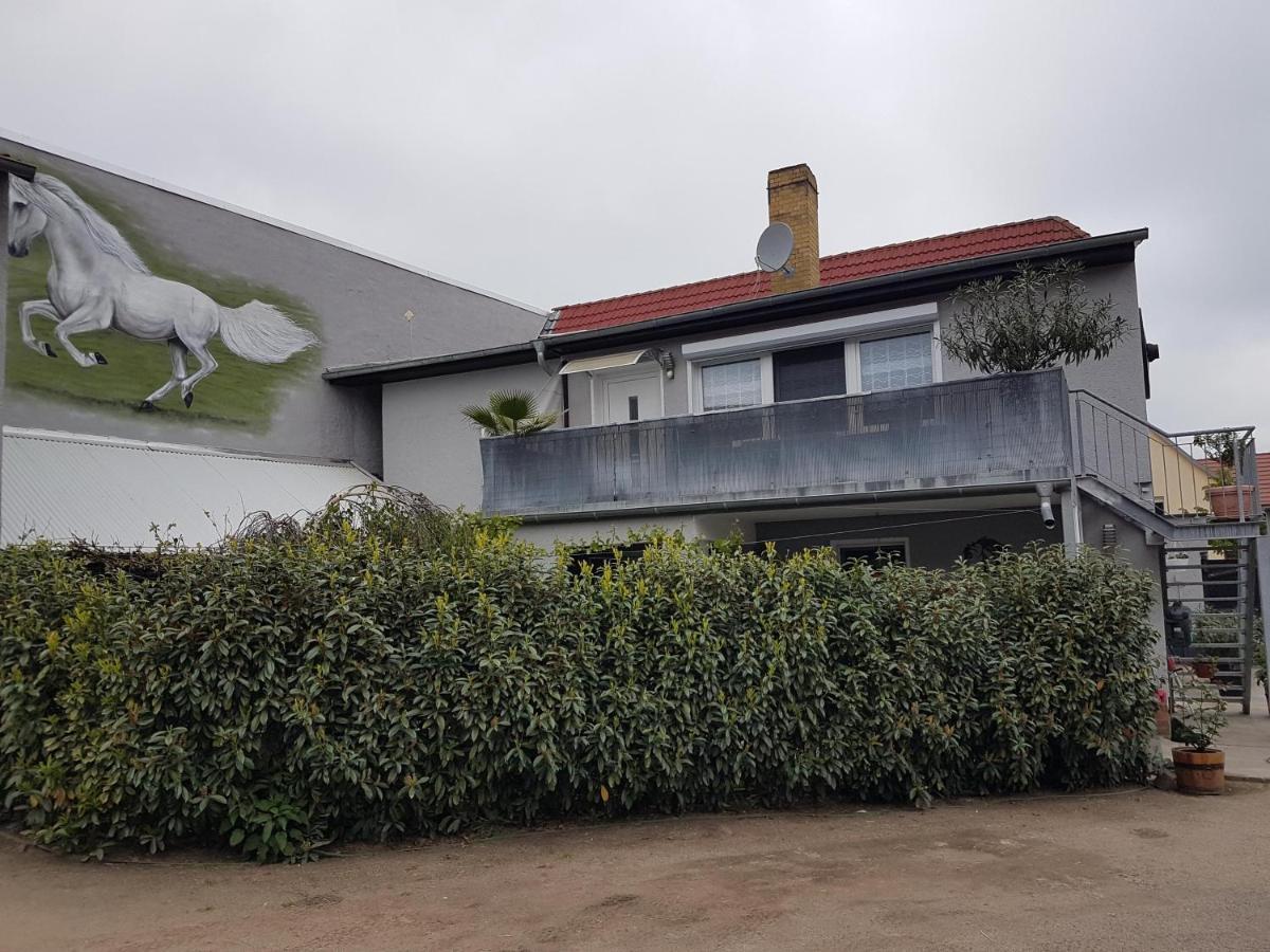 Pferdepension Jaeger Markranstadt Bagian luar foto