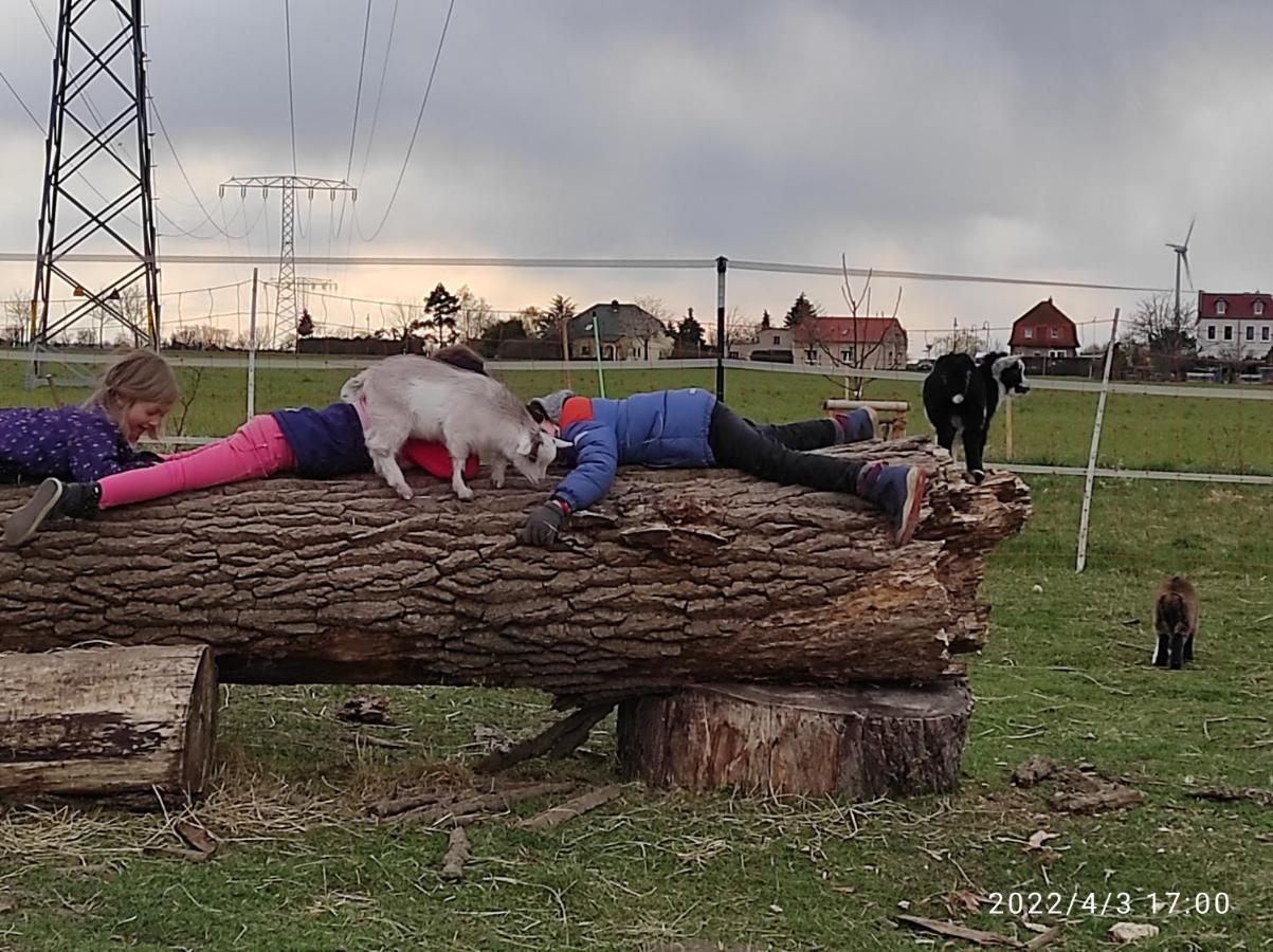 Pferdepension Jaeger Markranstadt Bagian luar foto