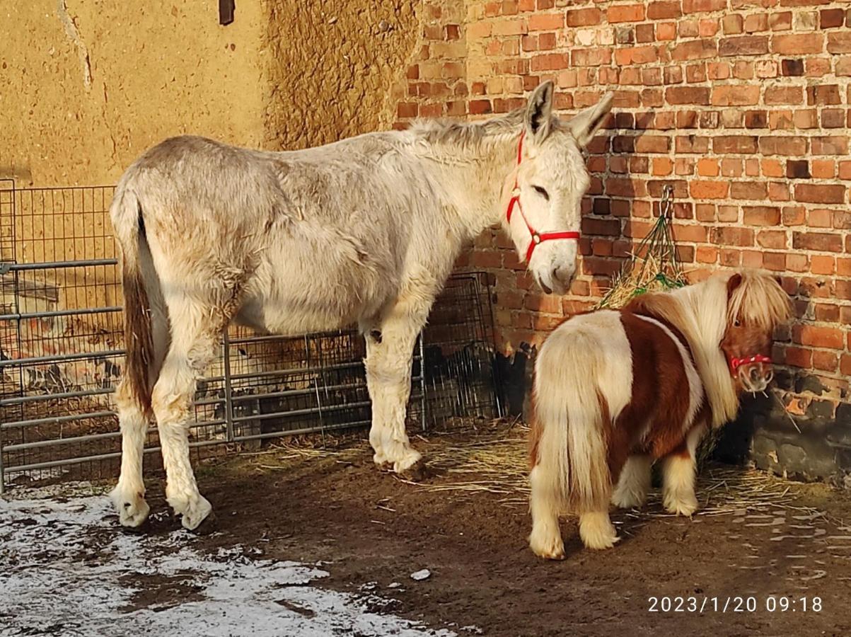 Pferdepension Jaeger Markranstadt Bagian luar foto